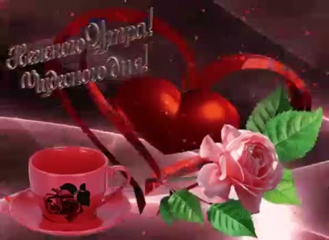 VID-20210408-WA0001