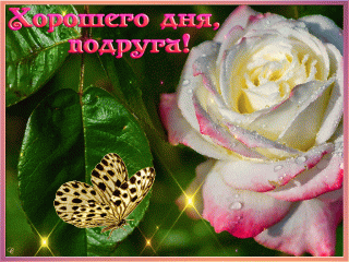 anm1d2416sb6s9840cnbeoe16s7h37dl