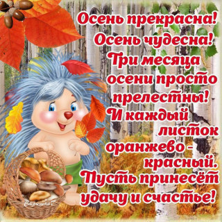 55