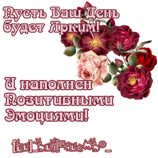 на день