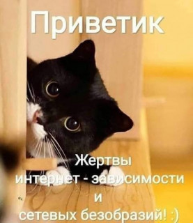 pteHSk5eNwg