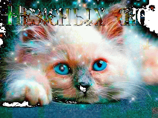 eadd97f5b408c0250c0f20b5ab2e537b