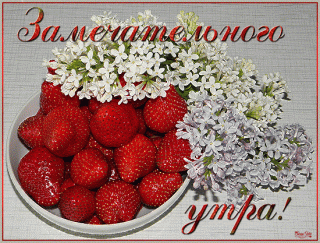 1502-darling27-dobroe-utro021