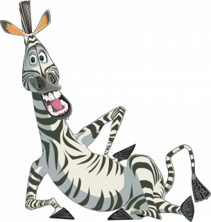 zebra20