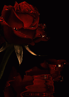 efc3d278d0d399ef2fc925ca91b04560