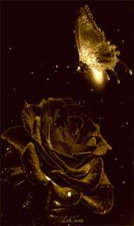 9bcd5885fe7fcc4170dcf79fff3a98bc