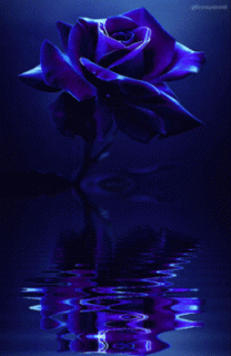 b345aff983e1ded589b4a840e70c7af2