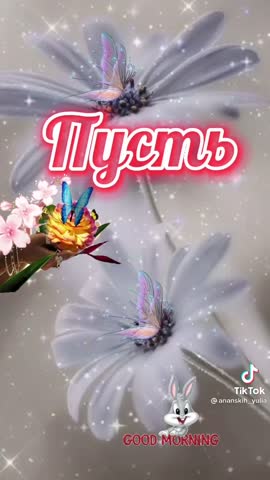 5058df3f42580a7ed1b4b7be91b5685e