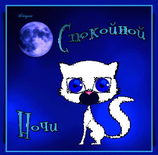 51f37f0e0487324ed13e2f70a52f0897