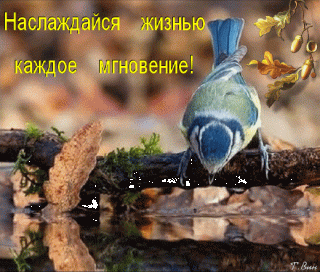 naslazhdajsya-zhiznyu-kazhdoe-mgnovenie