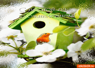 a72374c0e86c0956e9229fd55db4217b