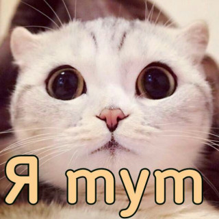55