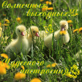 125392257_RRRRRSRSS_RSSRRRSS_SSRRSRRRR_RRSSSRRRRyoS