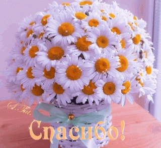 spasibроo