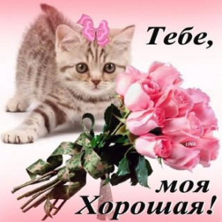 tebe-moya-xoroshaya