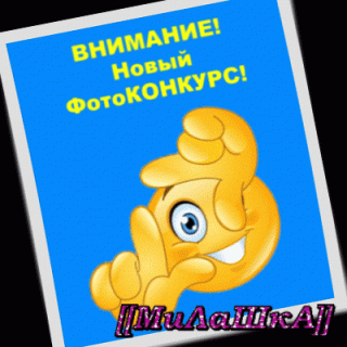 ФотоКонкурс