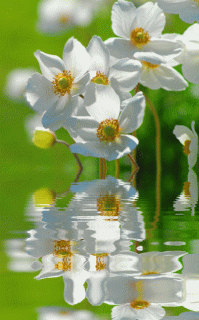 4c802b0060d4b8263d40d0870b53aa07