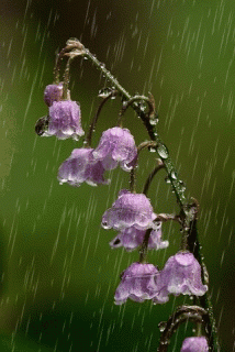 b5997e08a123621b1faab4a1169c3f40