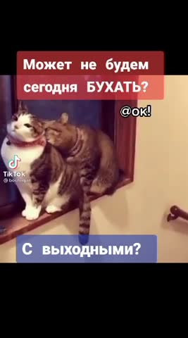 8928c2235c9896244fc73de195f4237e