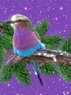 9fdffcefa66a84bf5011d00e7a60a95f