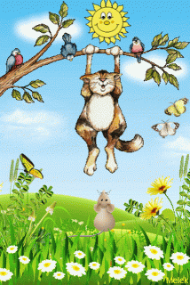 a7d32104a854c0ebd5140740389250b1