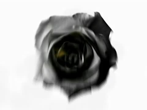 Тотал__Дальтоник_480P