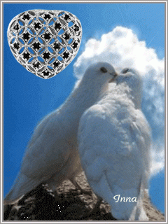 1363348036_animaciya-vlyublennye-golubi