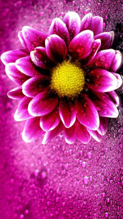 545a4324-4f7b-43fb-90b4-f579896370d2