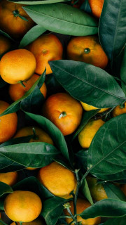 df22a652-8c69-4d81-a668-c4eea274723b