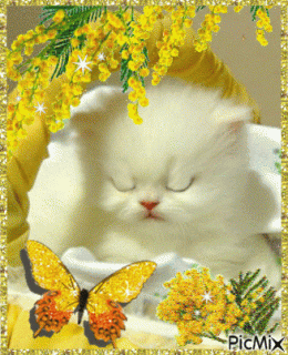 7a09324a6382b1ed9e4235b4095b4a14