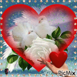 ?_For_you_?