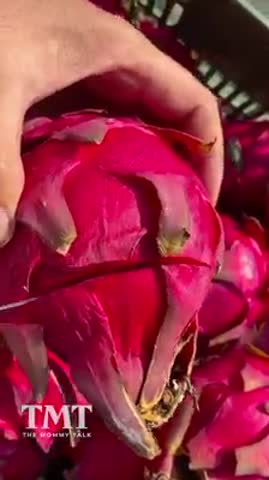 video-e3043d9b4c36955a72582343e992bc68-V