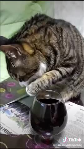 video-3d4297d021b31b0a30deefe7d4aab7c4-V