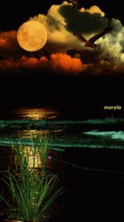 728e9f5eb0f807369edcba0df0b44531