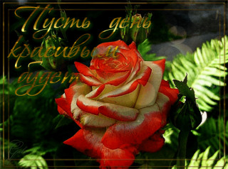 fc9e15he7h9uhebmff575sea103huhdl