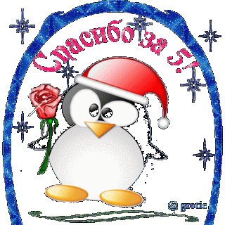 spasibo-za-5-pingvin-novyj-god