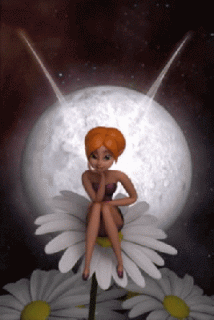 d501f2d5b23da3da0af925ddbfaf16a5