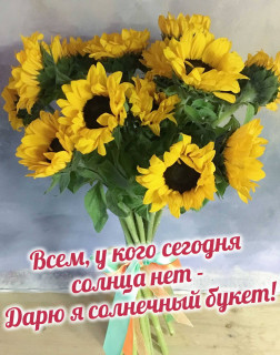 IMG-c19b7442fc6e9e5cafa49c19a6a07a34-V