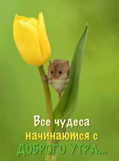 IMG-92641dc42193af9044354837a2c62e18-V