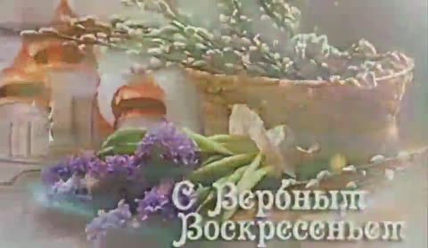 video-69d31194617ced64e37711afc8d56d97-V