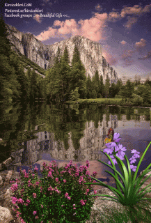 e5487ee164f7cce456bf3bfcf7dd1749