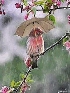 9d18e130584800f64033f769b80b15c2