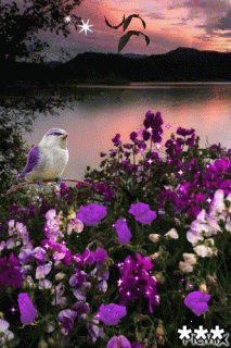 2978e7cc5de0c028a72b9591181a4d43