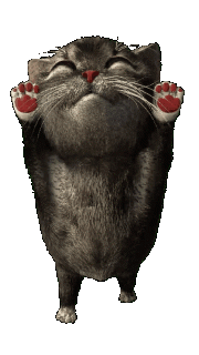 0606280edca41f52a275bcf7b23980d5