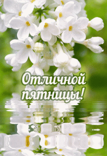 horoshey-pyatnitsy-48