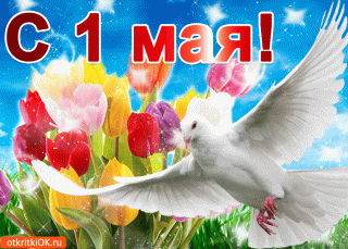 krasivaya-otkrytka-s-1-maya-45728-5884370