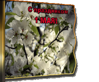 73892480_58498786_c1__2