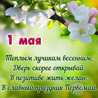 1-may-8