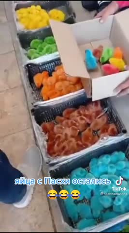 video-a8b3b6c4c8ed10d2cc698cec593c0049-V