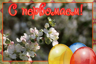 otkrytki_1_maya